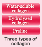 Three types of collagen